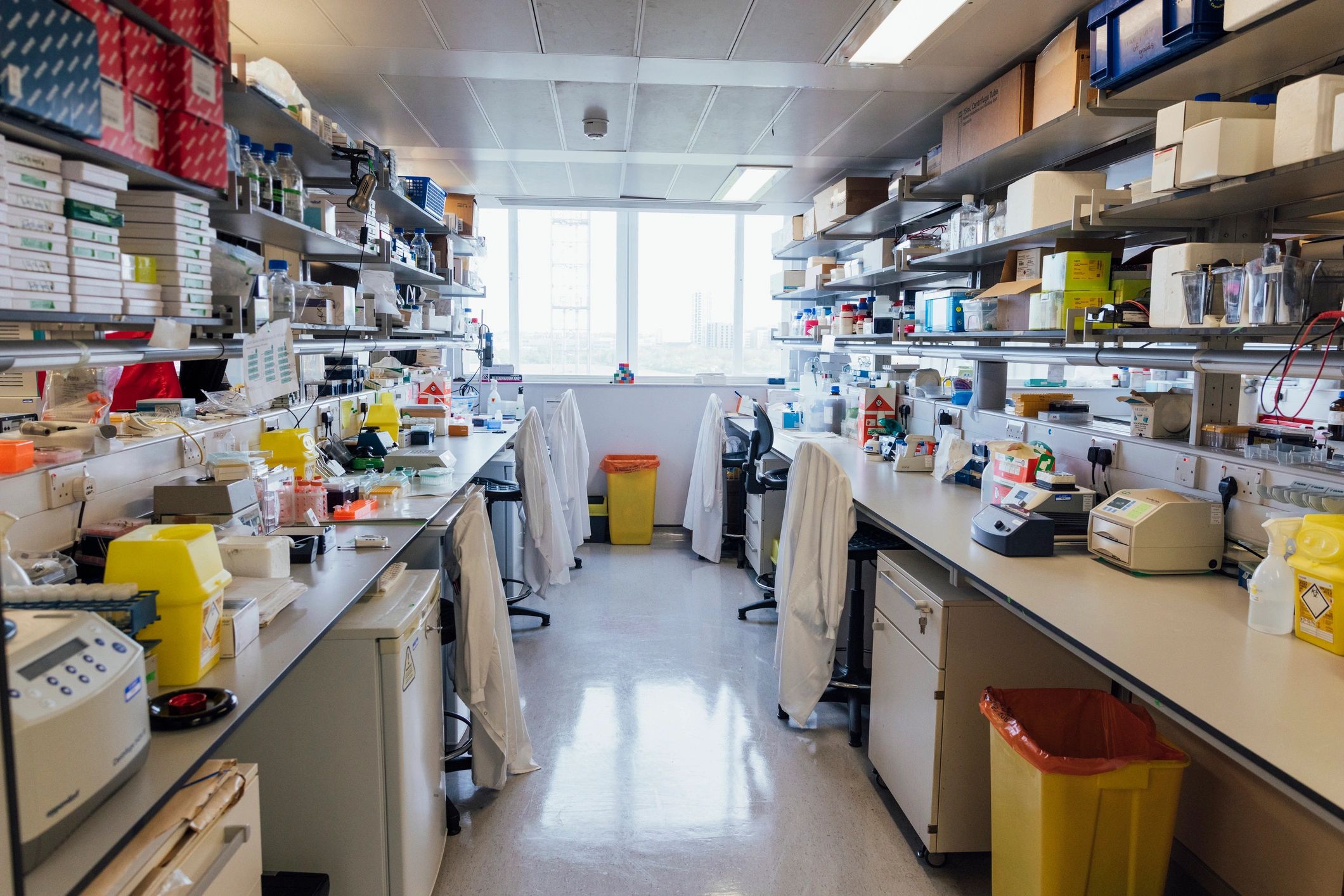 Modern laboratory environment representing scalable operations