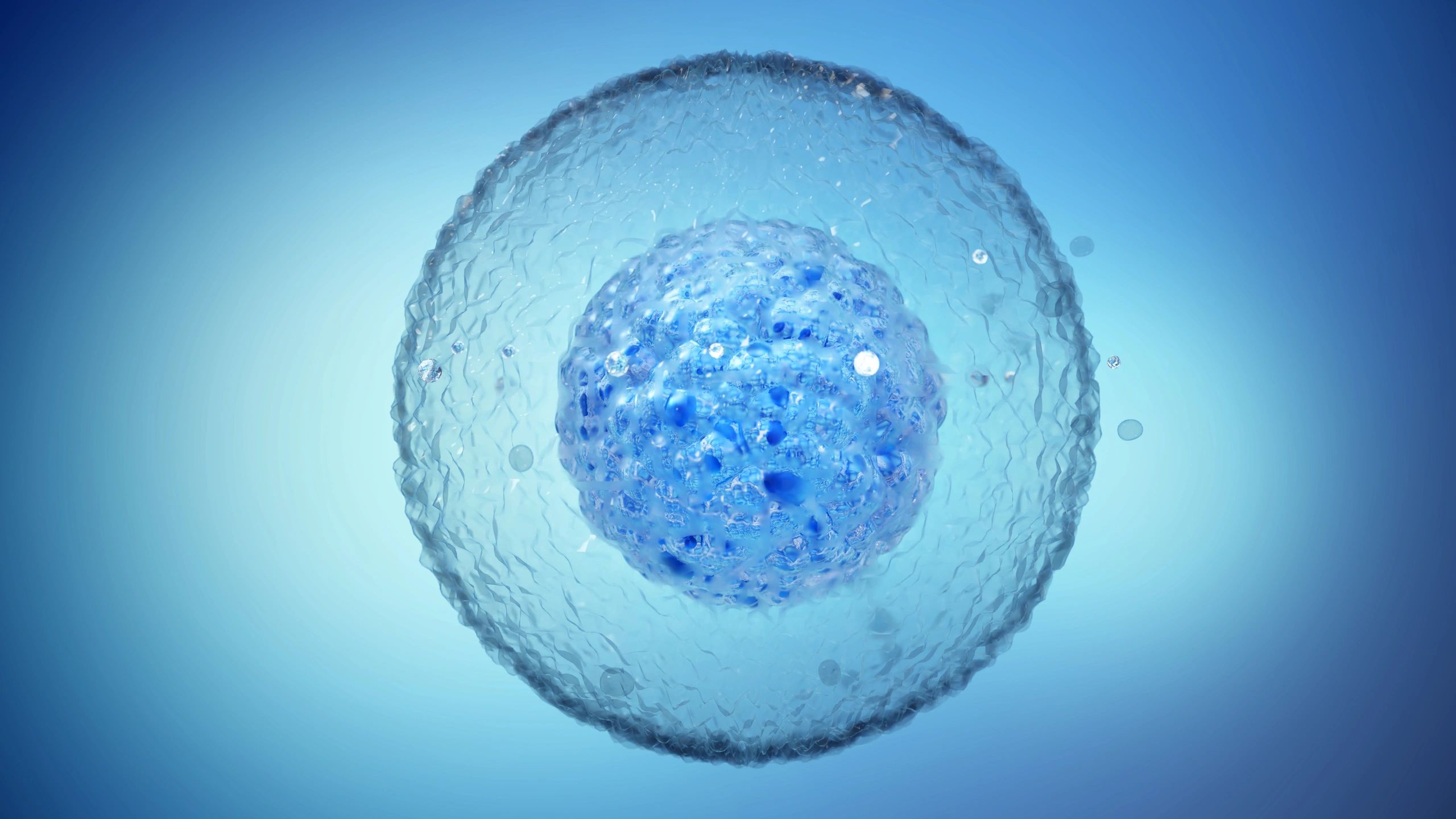 Microscopic view of cellular structures representing biotech research